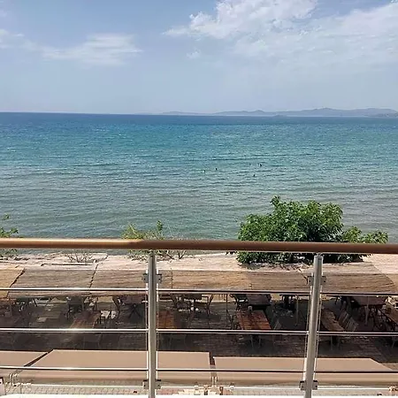 Villa Hotel Hotel